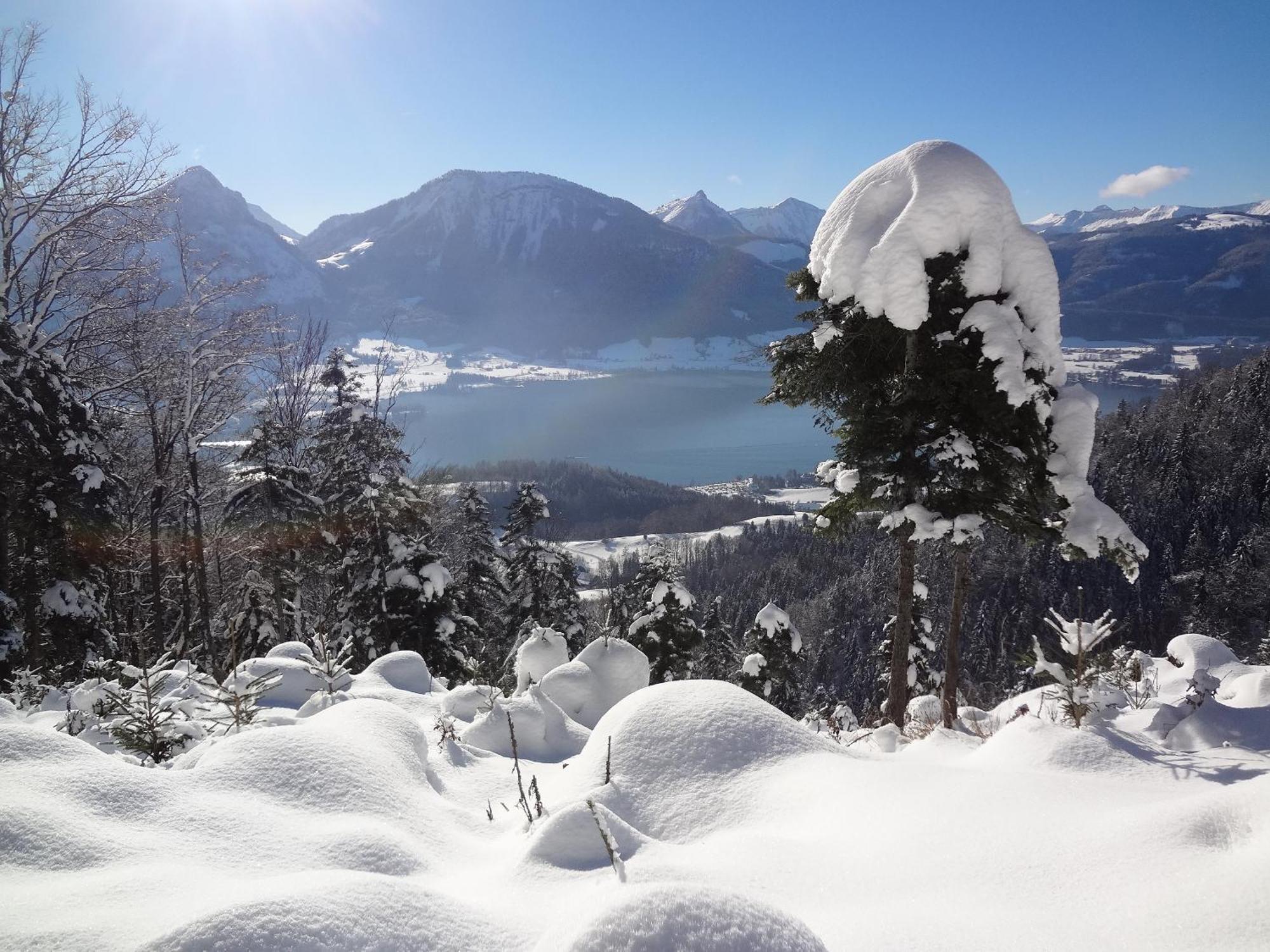 Appartement Scheibling Sankt Wolfgang im Salzkammergut Bagian luar foto